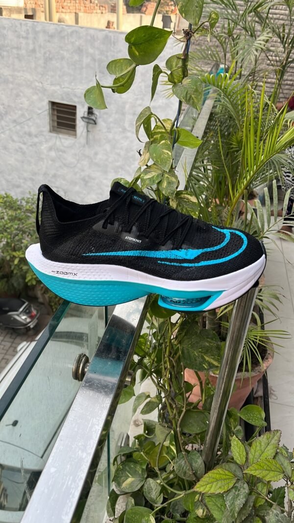 Zoom Alphafly Next 2 Shoes