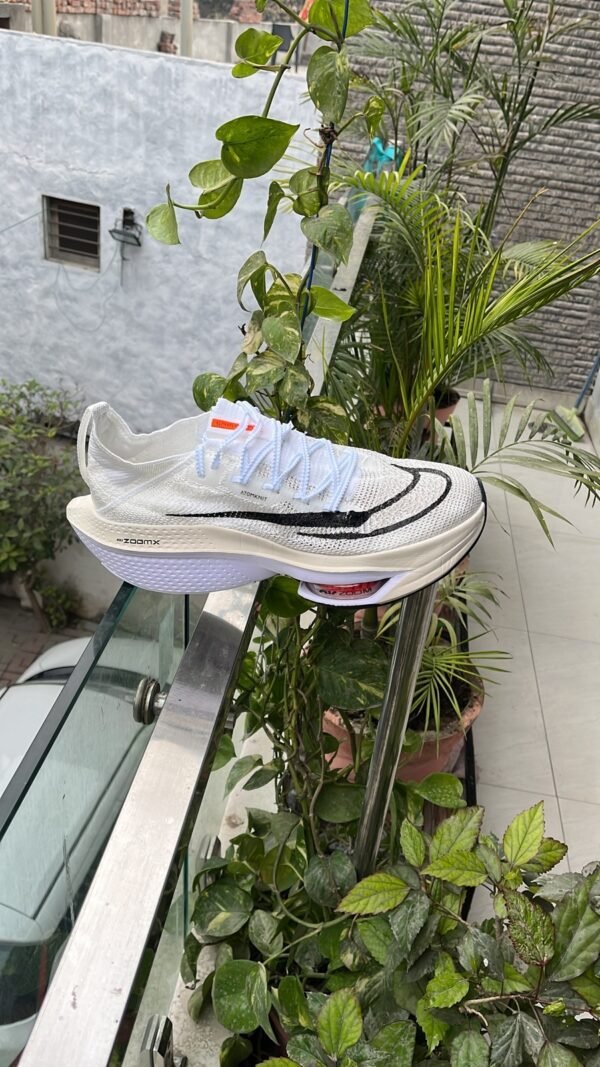 Zoom Alphafly Next 2 Shoes