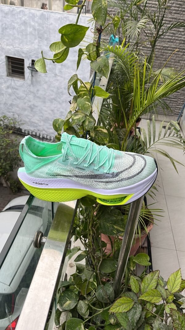 Zoom Alphafly Next 2 Shoes