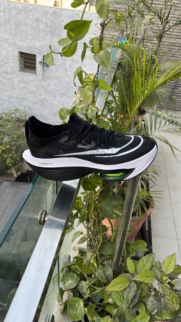 Zoom Alphafly Next 2 Shoes