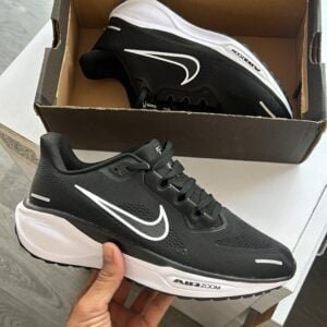 NIKE Pegasus 41