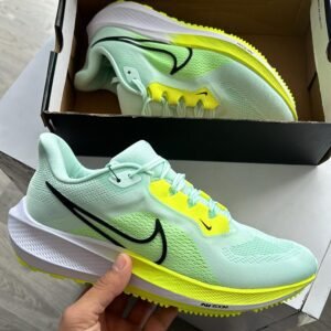 NIKE Pegasus 41