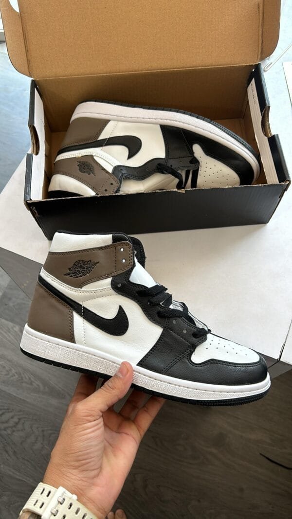 AIR JORDAN One High & Mid