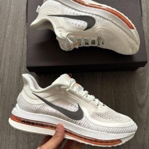 NIKE Air Pegasus Running Concept