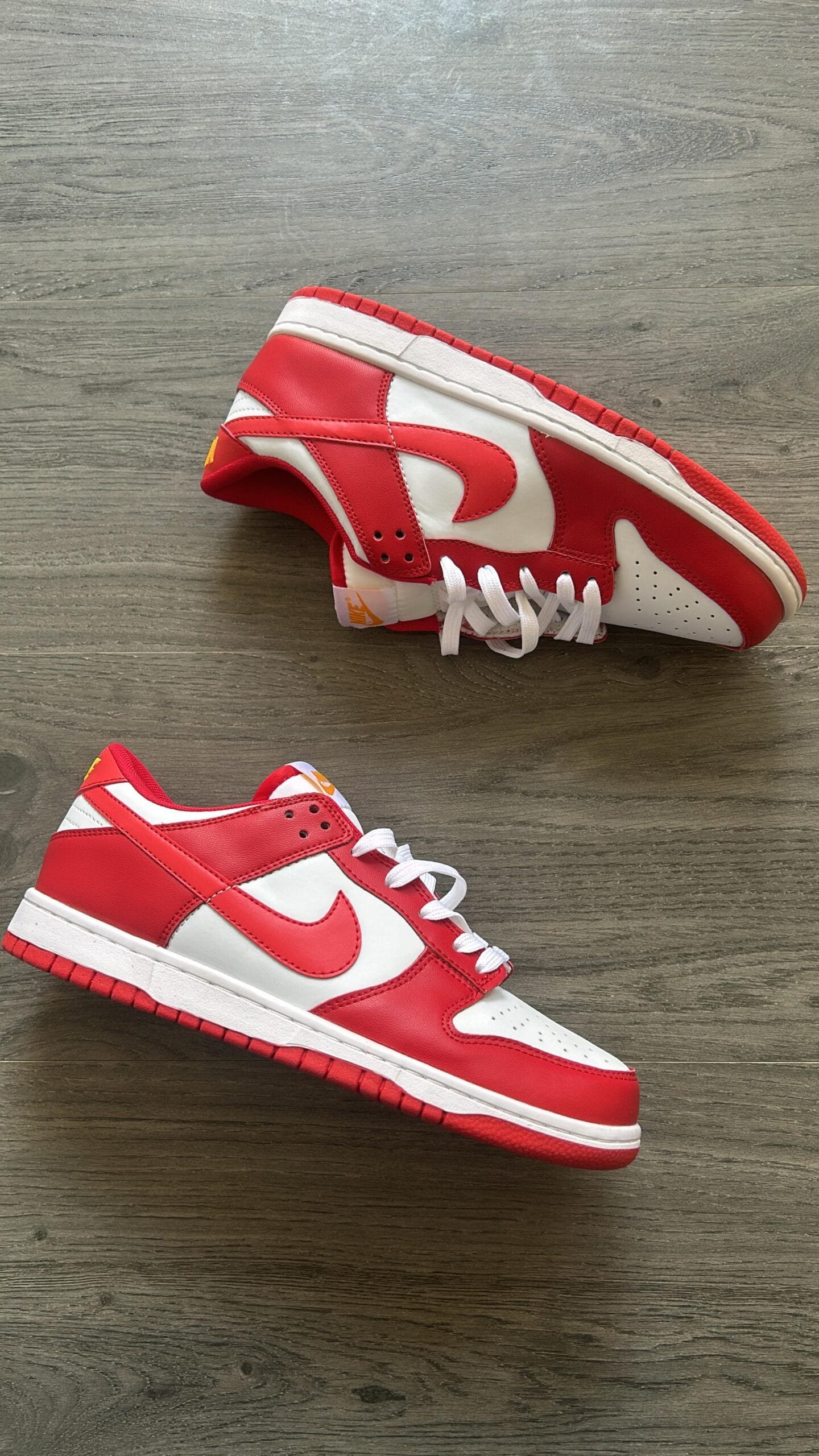 NIKE SB Dunk Gym Red